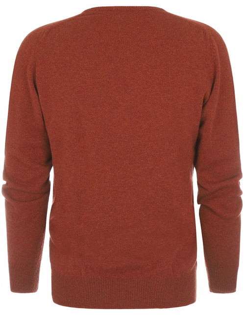 William Lockie V-neck Lambswool Pullover | Tiger
