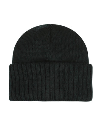 Stetson Merino Beanie | Green