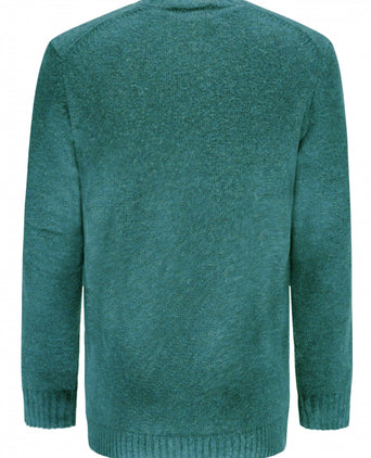 Alan Paine Shetland Crew Neck Pullover | Green