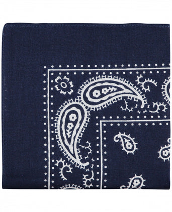 Farmer's Handkerchief | Paisley Navy