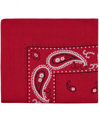 Farmer's Handkerchief | Paisley Red