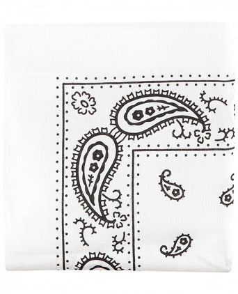 Farmer's Handkerchief | Paisley White
