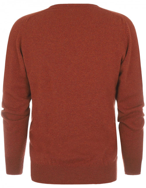 William Lockie V-neck Lambswool Pullover | Tiger