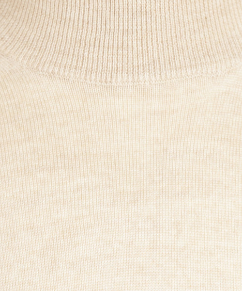 Turtle sweater Merino wool | Beige