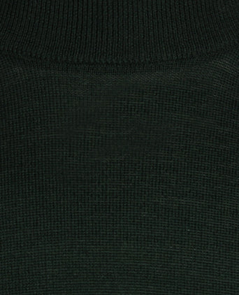 Turtle sweater Merino wool | Green