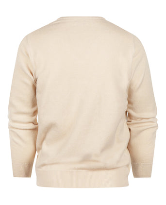 Pullover v-neck lambswool *Sale* | Beige