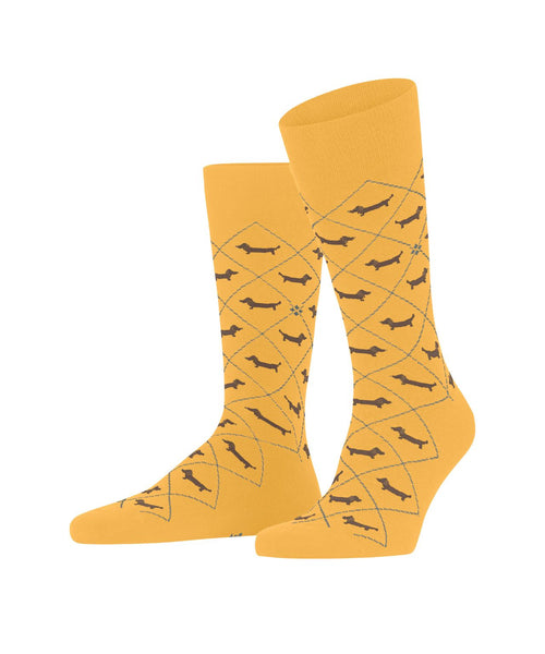 Burlington Dachshund Men's Socks | Yellow