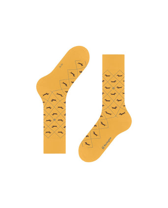 Burlington Dachshund Men's Socks | Yellow