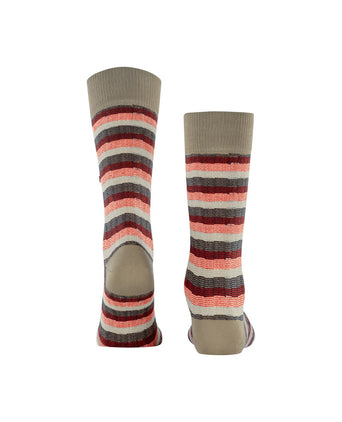 Burlington Signature Stripe | Bruin