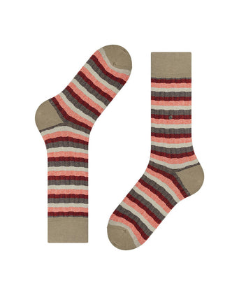 Burlington Signature Stripe | Bruin