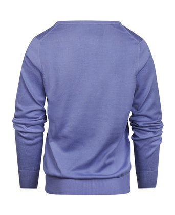 Basic Women's V-neck Sweater Cotton Blend | Purple