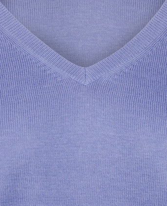 Basic Women's V-neck Sweater Cotton Blend | Purple