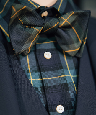 Zijden Strik 90 Years Edition | 90 Y Green Zijden Strik 90 Years Edition | 90 Y Green