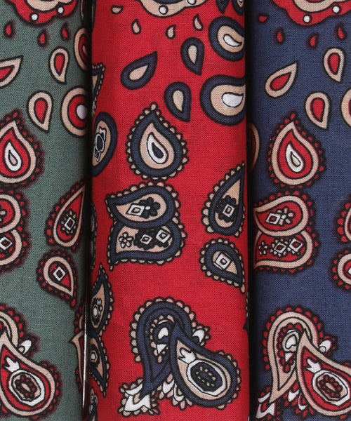 Handkerchief | Paisley Hankies
