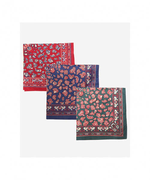 Handkerchief | Paisley Hankies