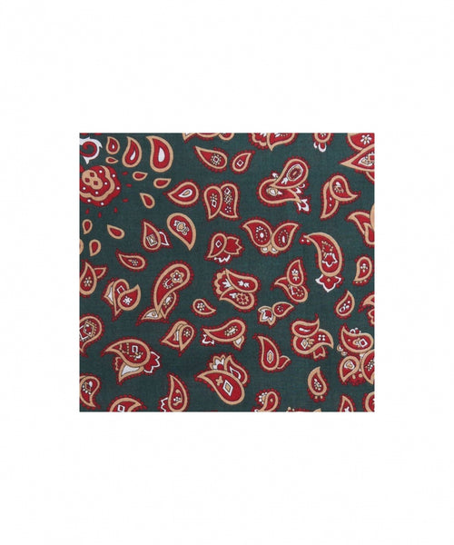 Handkerchief | Paisley Hankies