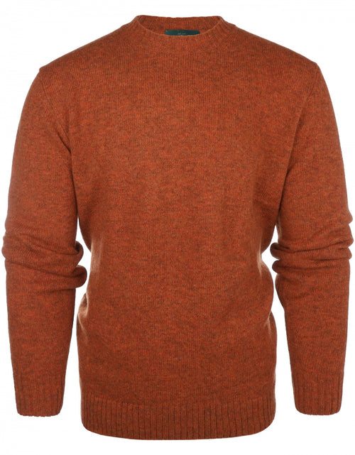 Alan Paine Shetland Pullover Ronde Hals | Bruin