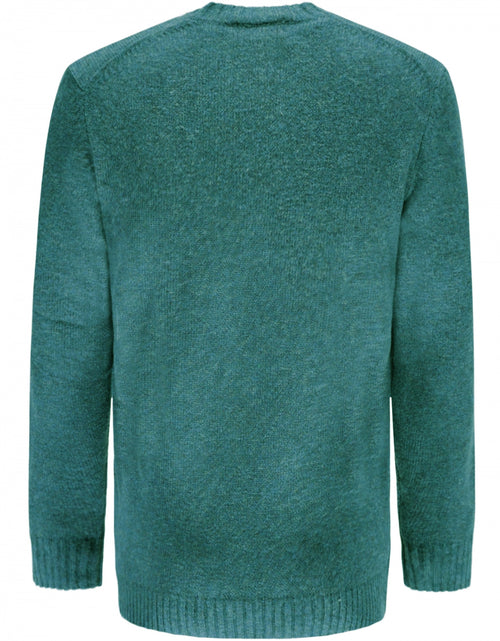 Alan Paine Shetland Pullover Ronde Hals | Groen