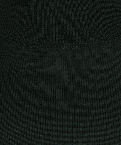 Coltrui Merino wol | Groen