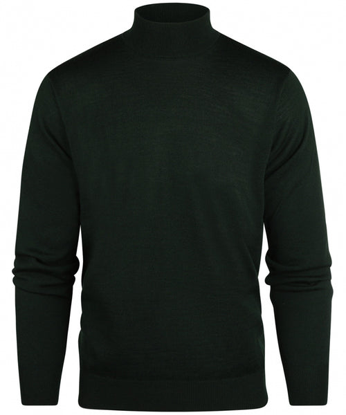 Turtle trui Merino wol | Groen