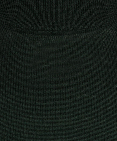 Turtle trui Merino wol | Groen