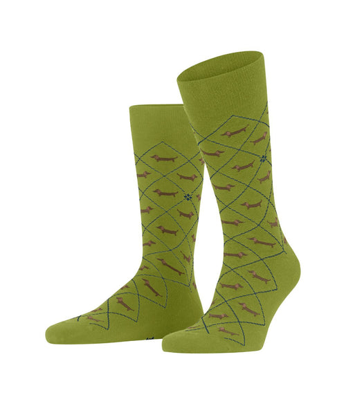 Burlington Dachshund Men's Socks | Green