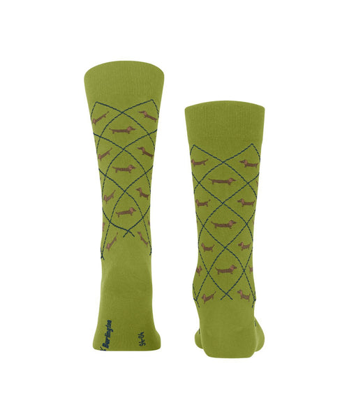 Burlington Dachshund Men's Socks | Green