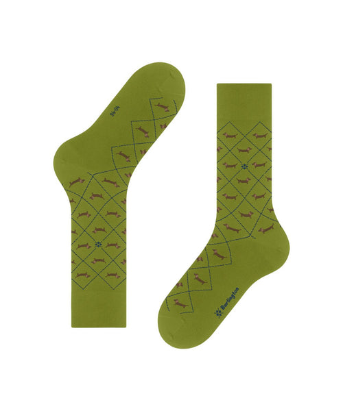 Burlington Dachshund Men's Socks | Green